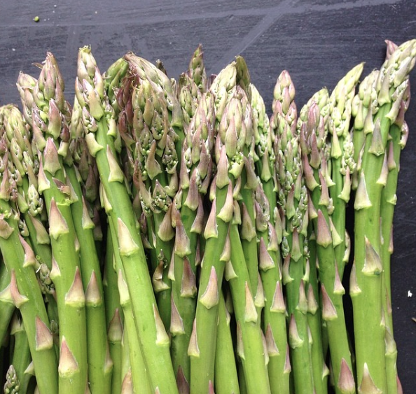 Asparagus Zoom